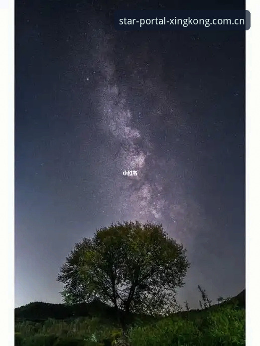 星空入口体育赛事数据 为什么内行人都盯着星空入口体育赛事数据?这里头的门道你知道吗?